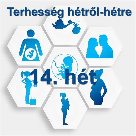 A terhesség 14. heti tüneteinek összefoglalása (puffadás, hátfájás, bőr változásai)
