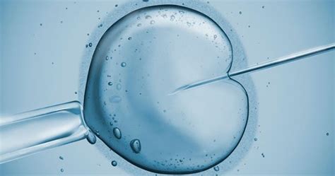 Az IVF és az ICSI eljárásának összehasonlítása