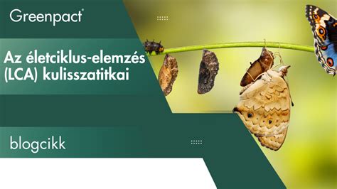 Pelenka életciklus elemzés infografika