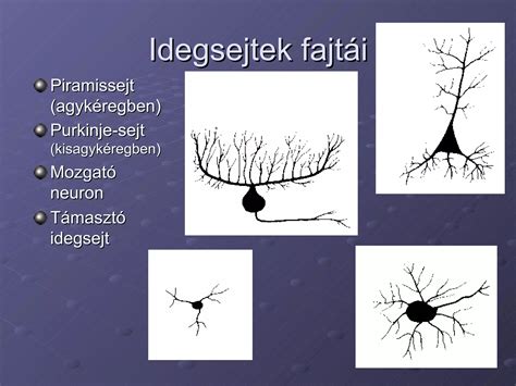 Idegsejtek ábrázolása