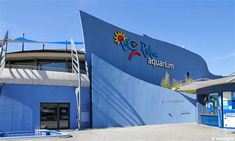 Palma Aquarium belső tere cápákkal