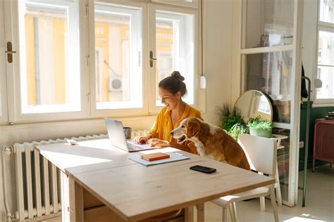 nő dolgozik laptopon, mellette játszó gyerek