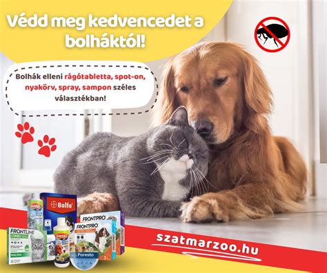 Babautazási felszerelések