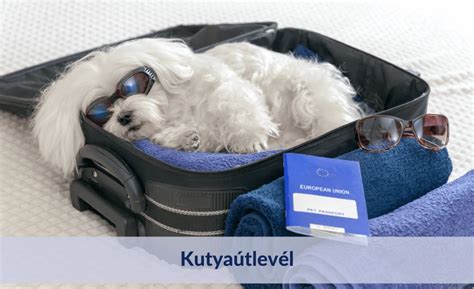 Kutyaútlevél
