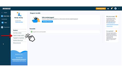 HORINFO rendszer felülete