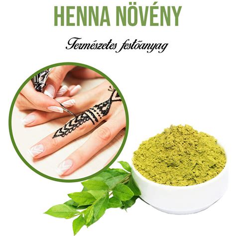 Henna növény levelei és pora
