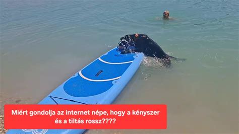 Az autósülés kiválasztásához a gyermek testsúlyát, életkorát és testmagasságát kell ismerni, mivel a gyártók ezek alapján kategorizálják a gyermeküléseket.