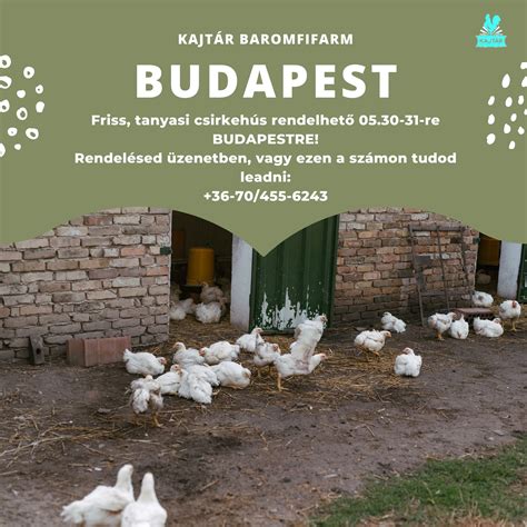 Baromfi farm higiénia