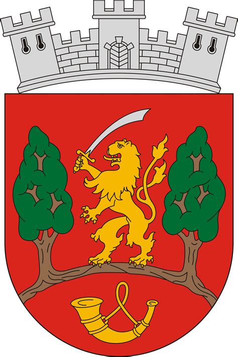 Újszász város látképe