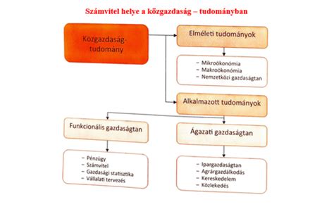 Pajzsmirigyhormonok működését bemutató ábra