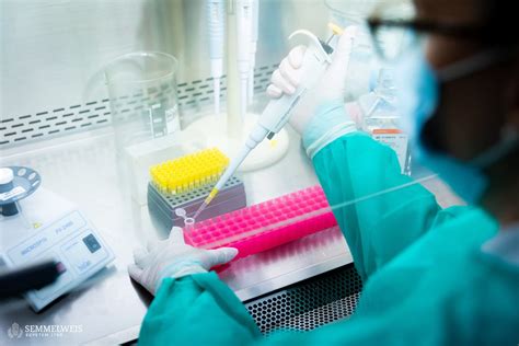 A preimplantációs genetikai diagnosztika folyamatábrája