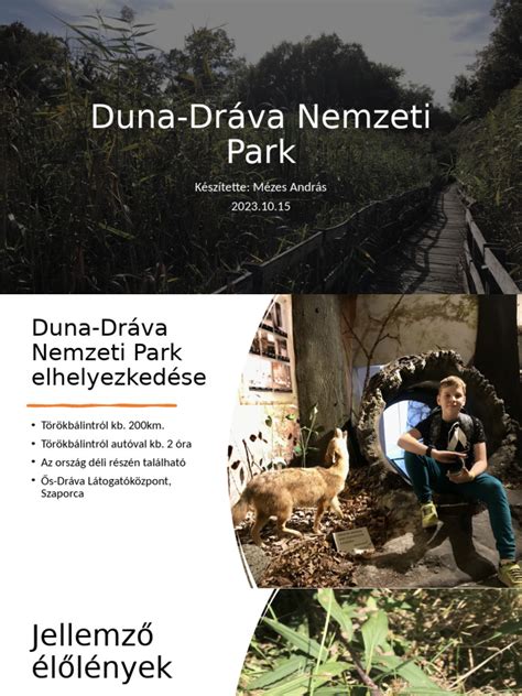 Duna-Dráva Nemzeti Park élővilága