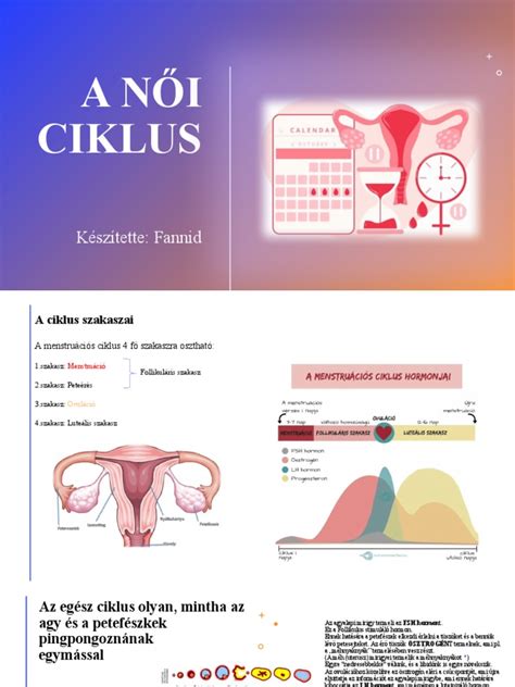 Női reproduktív ciklus ábrája