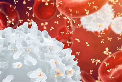 A tumor mutációs terhelés (TMB) és az immunterápia kapcsolata
