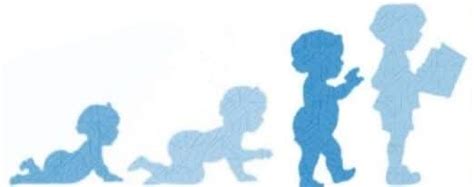 A gyermek fejlődésének különböző területeit ábrázoló diagram