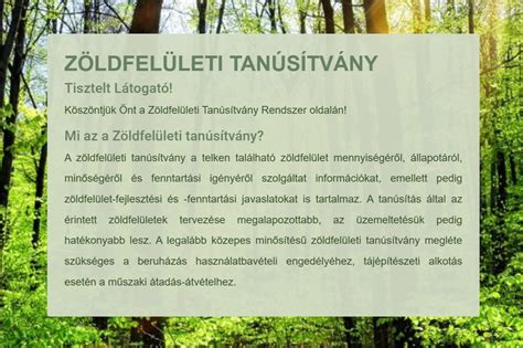 Tinédzser terhesség tájékoztató