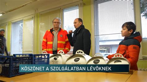 Védőnői munka elismerése