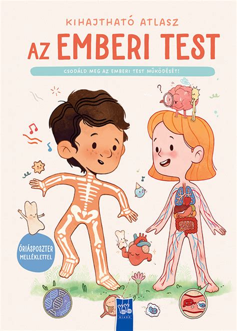 Az emberi test elektrolit-egyensúlyának sematikus ábrája