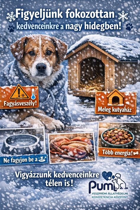 Illusztráció a réteges öltözködésről hideg időben