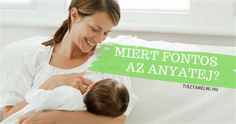 Az anyatej támogatás elszámolásának folyamata