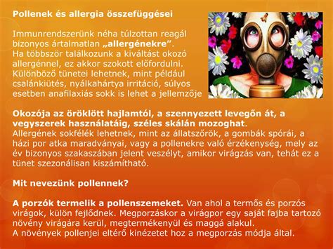 Por és allergének egy otthonban