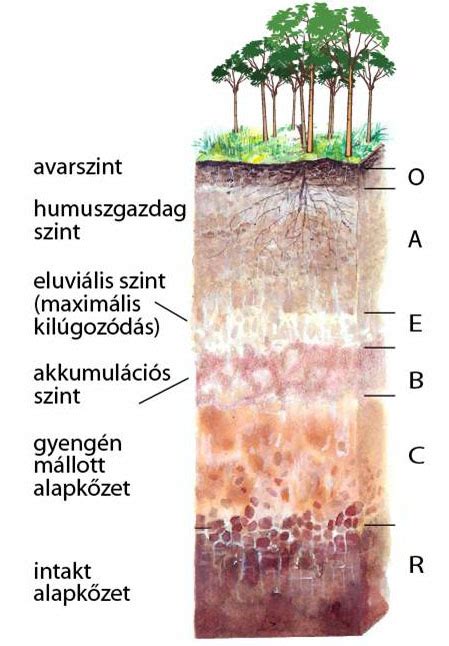 A talaj teherbírását befolyásoló tényezők