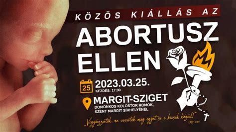 Az abortusz története