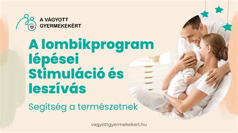 A lombikprogram működésének fázisait bemutató infografika
