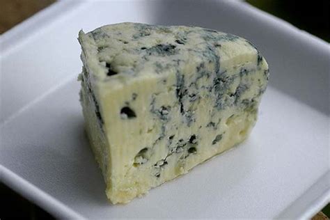 Gorgonzola sajt érési folyamata
