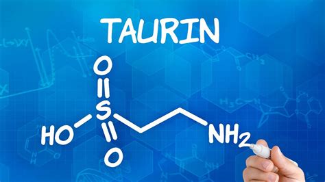 A taurin szerepe a zsíranyagcserében