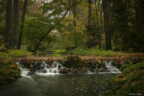Vácrátóti arborétum látképe