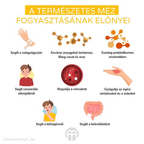 Infografika a méregtelenítés pozitív hatásairól a szervezetre