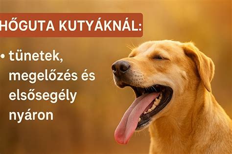 Azonnali teendők légútelzáródás esetén