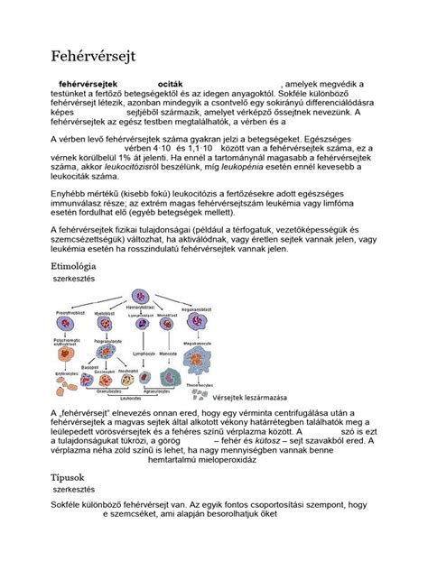 Fehérvérsejt típusok és funkcióik infografika