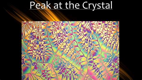 A mell szerkezetének sematikus ábrája