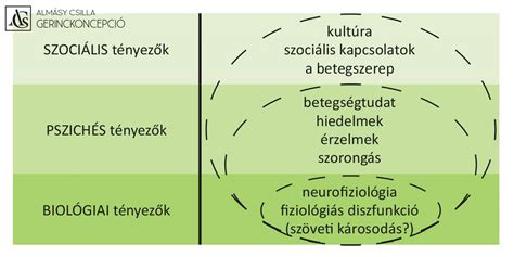 a biopszichoszociális modell az evészavarok terápiájában