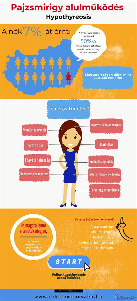 Pajzsmirigy működését ábrázoló infografika