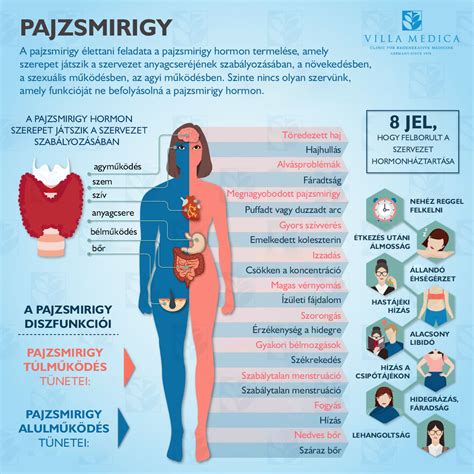 A pajzsmirigy hormonok hatása a magzati fejlődésre