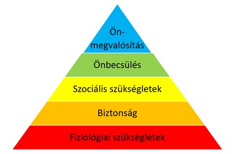 Infografika az OECD által megkülönböztetett speciális oktatási szükségletek kategóriáiról