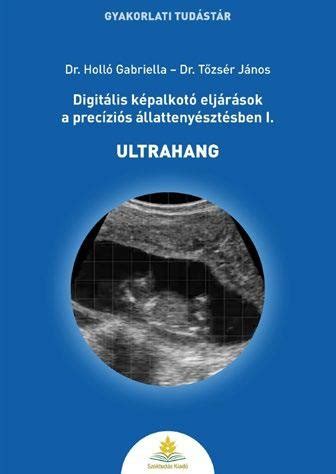 Ultrahangos képalkotás folyamata