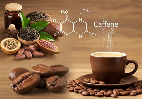 A koffein molekuláris szerkezete és hatása a petevezetékre