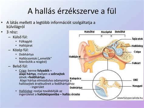 A kismedencei torna lépéseit bemutató ábra