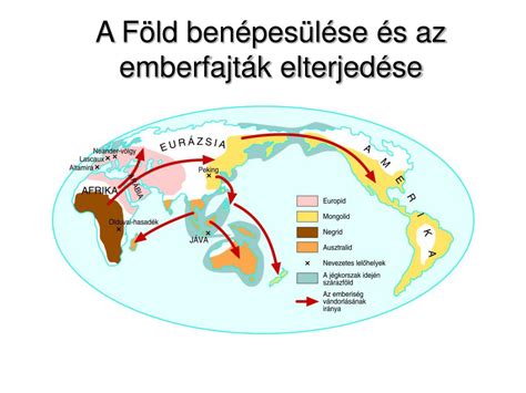 Az emberi termékenység folyamata