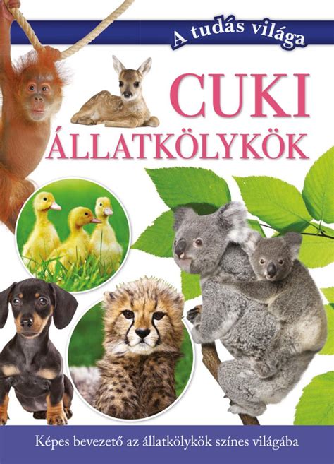 Különböző állatkölykök, melyek a Kindchenschema jegyeit mutatják