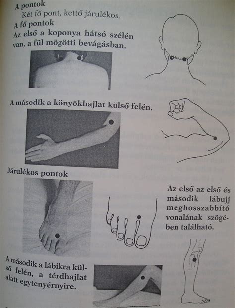 Sérülési pontok emberi testen