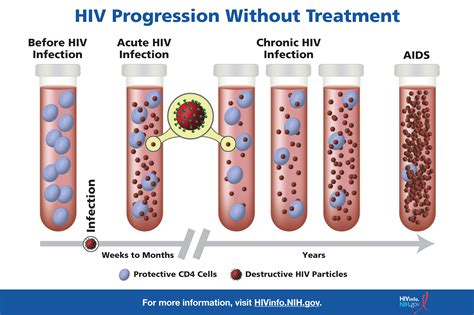 A HIV átvitelének módjai