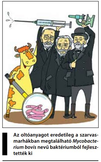 A tuberkulózis terjedése