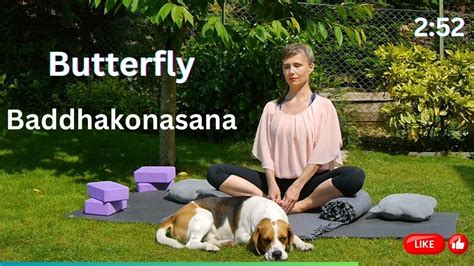 Pillangó póz terhesség alatt