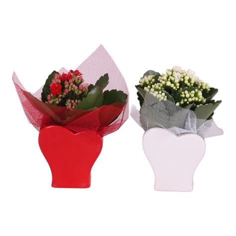 Stílusos etetőszékek különböző színekben