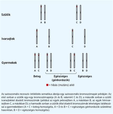 A sertésállomány genetikai megőrzésének kihívásai